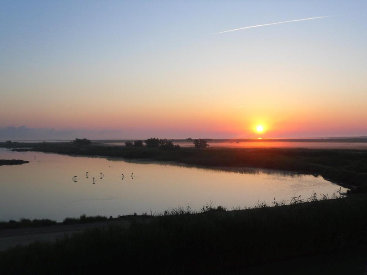 Chambre Les Flamants, Avec Vue Imprenable Sur Les Etangs, Les Oiseaux, La Nature, Petit Dejeuner Compris Сент-Мари-де-ла-Мер Экстерьер фото